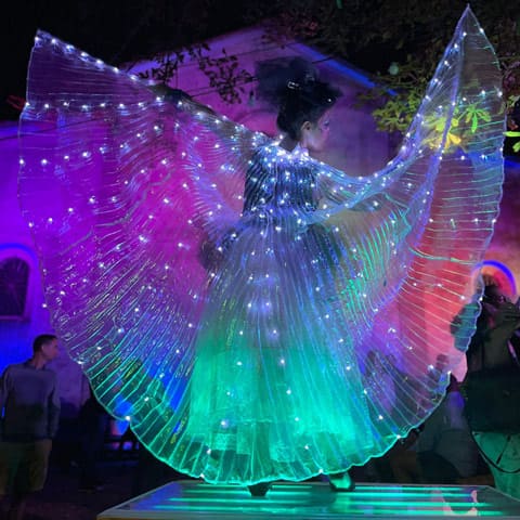 Laura Baldini performer